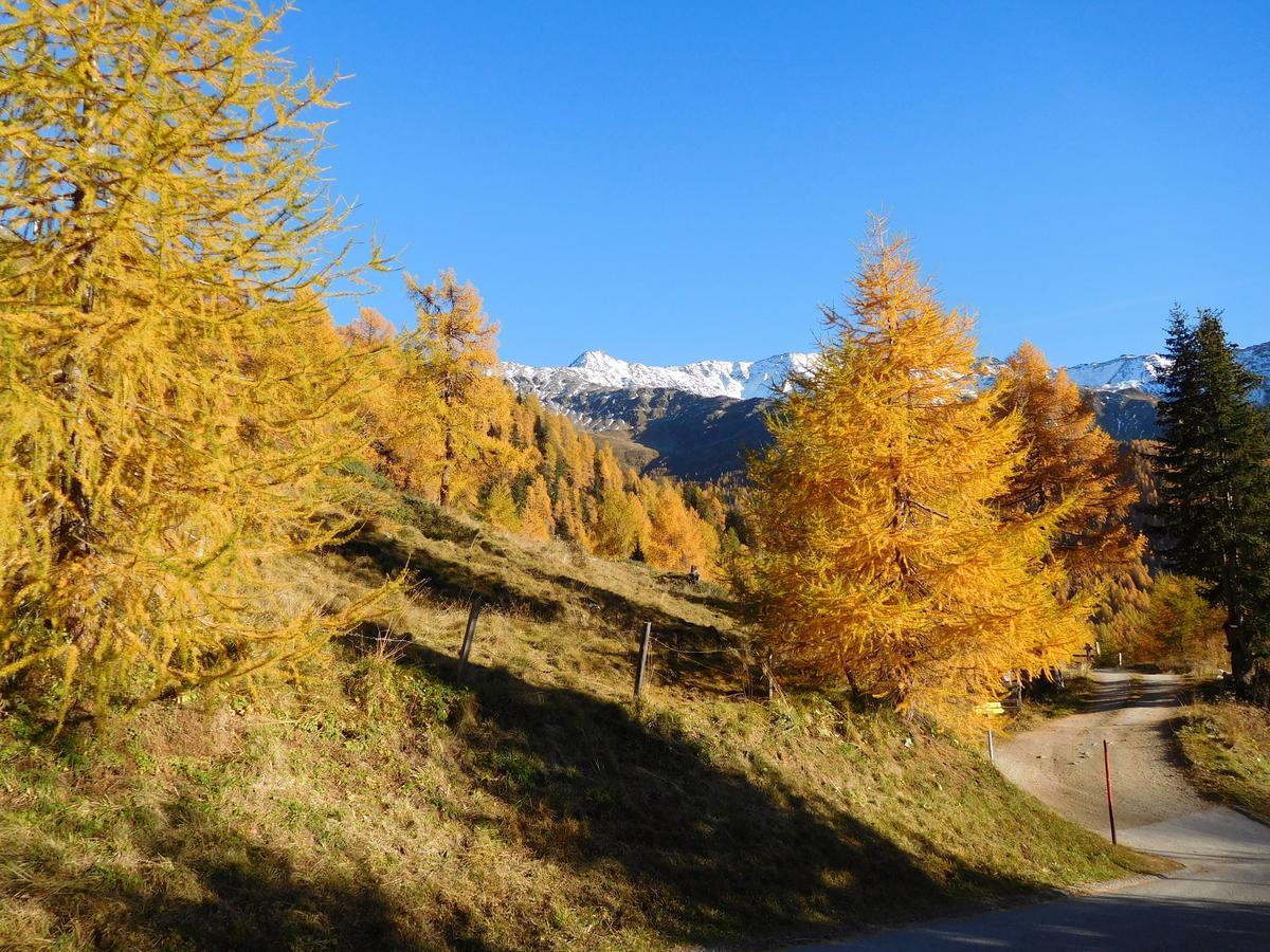 Haus Panoramablick Apartamento Kals-am Großglockner Exterior foto